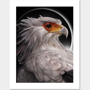 SECRETARY BIRD Posters and Art